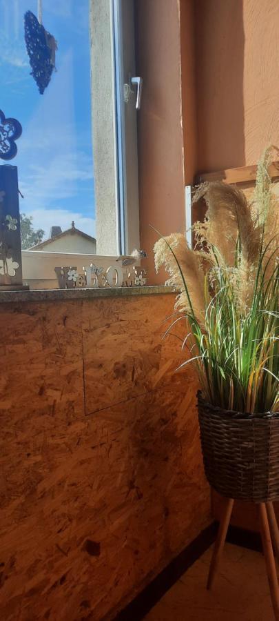 מרסבורג Gaststaette Und Pension Zur Schiene מראה חיצוני תמונה