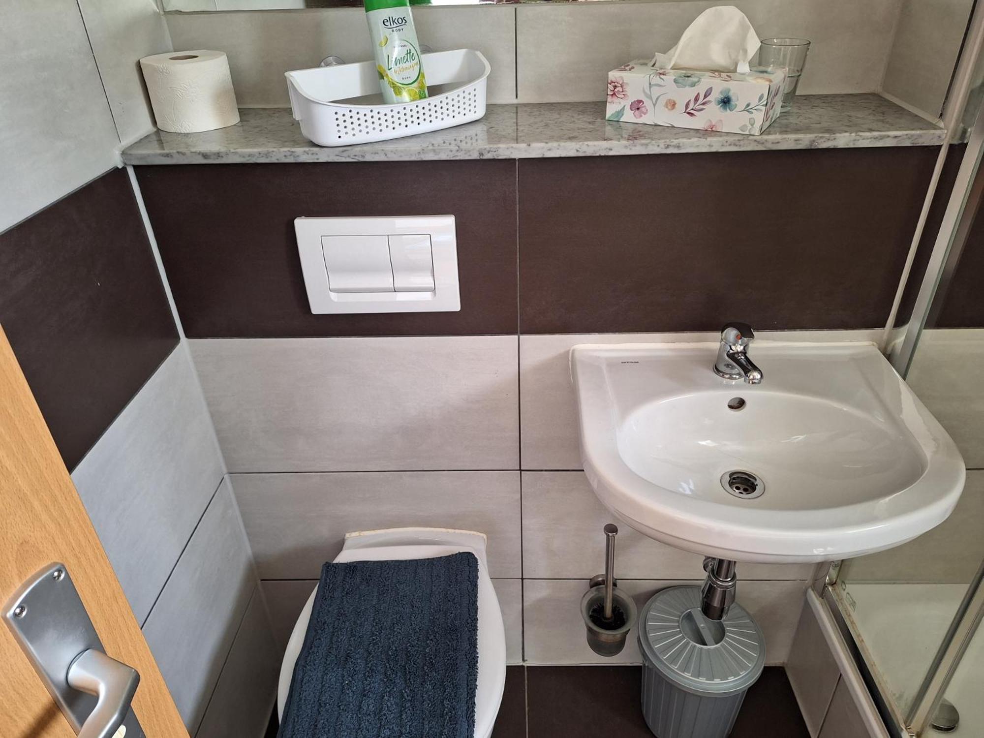 מרסבורג Gaststaette Und Pension Zur Schiene מראה חיצוני תמונה